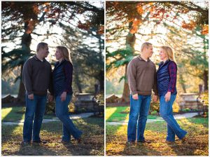 portrait, fall, foliage, virginia, 