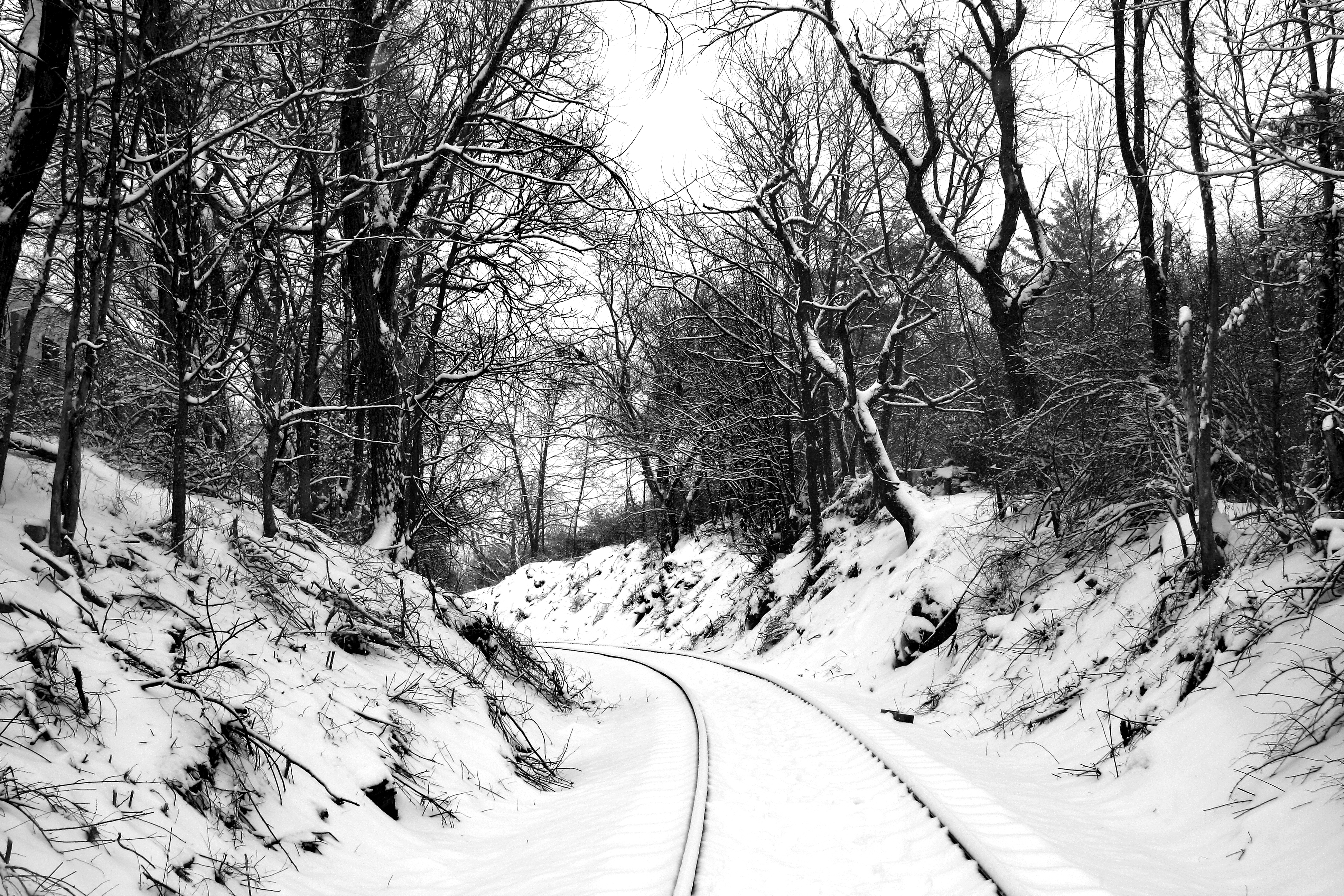 snow, train, tracks